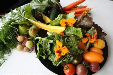 Shopping at the farmers market