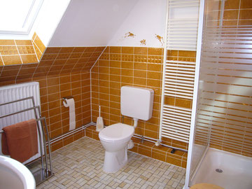 Dusche+WC,Handtuchtrockner,Platz für Handtücher, Fön