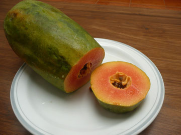 Papaya (Pepaya)