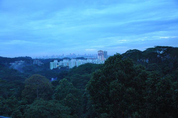 Morgendämmerung über Singapur