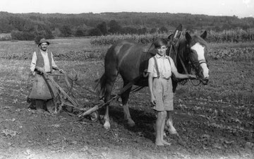 Wachmanns einst am Feld (1953)