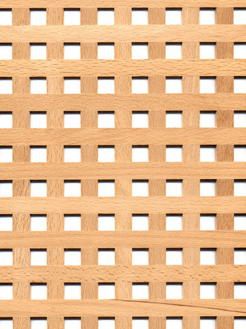 Holzgitter überplattet - Schaub-Design Frontgestaltung nach Maß