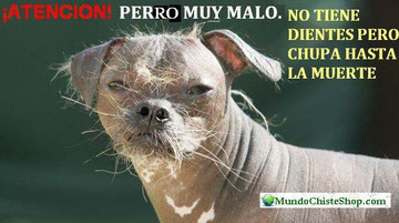 FOTOS CHISTOSAS