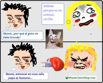 CHISTES EN FOTOS