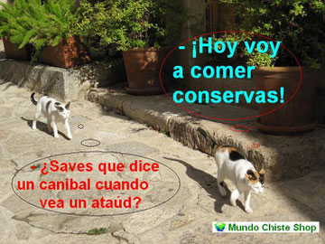 FOTOS CHISTOSAS