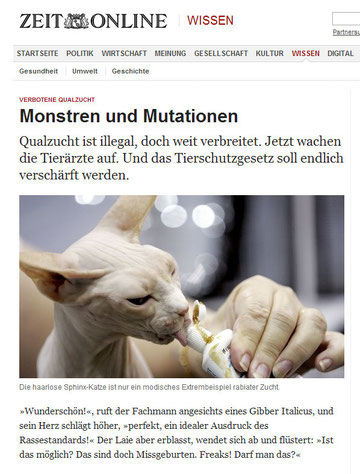 http://www.zeit.de/2012/11/Tierschutz-Qualzucht/seite-1