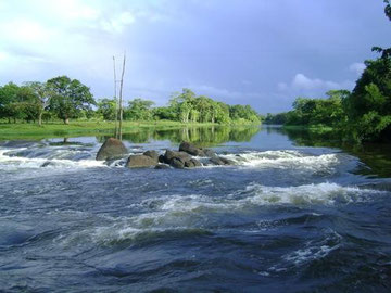 Rapids of the Carsawene River