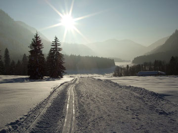 Drei-Seen-Langlaufloipe