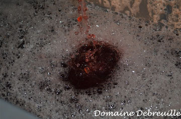 domaine debreuille, tournus, plottes, royer, macon, chalon sur saone, mancey, lugny, vin, vigne, fut, press cask, pressoir,  tonneau, bouteilles, proprietaire recoltant, wine, bourgogne, grape, cepage, aligote, chardonnay, pinot, gamay,