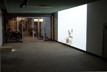 installationn view of 'breath' in Aichi University of the Art