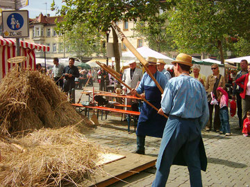 Drescher beim Marktplatzfest in Erlangen