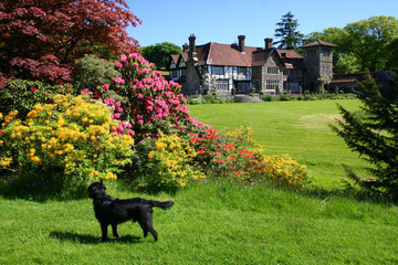 Coombe Trenchard in Devon is very dog-friendly.