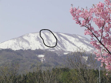 南葉山の種まき男