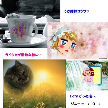 7月31日(日)