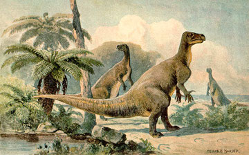 Dessin de Heinrich Harder