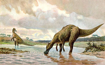 Dessin de Heinrich Harder