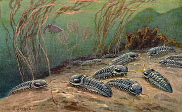 Dessin de Heinrich Harder