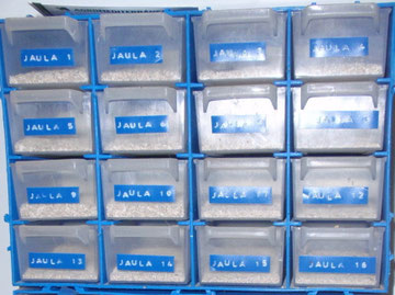 CAJA PARA CONTROL DE HUEVOS