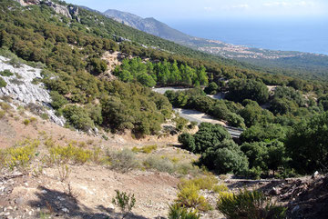 Erster Blick von unserem "Hausberg" für die nächsten Tage auf Cala Gonone