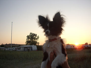 Melissa auf dem Campingplatz