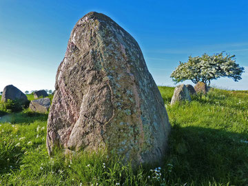Megalithgrab bei Nobbin auf Wittow  mit sog. Wächtersteinen