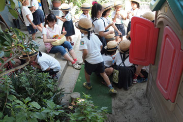 ありを見ながら、おやつを食べている子達もいます。