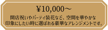 フラワーアレンジメント　10,000円　開店祝いやパーティ装花など、空間を華やかな印象にしたい時に選ばれる豪華なアレンジメントです。