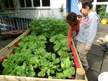 Kinder im "Dachgarten"