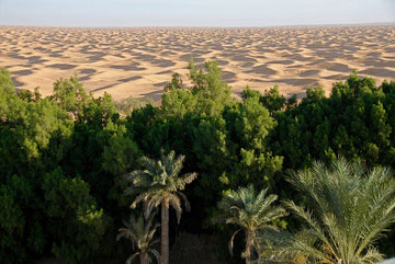Ksar Ghilane, Sahara