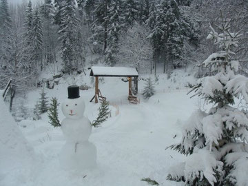 Schneemann, von unseren Kindern Weihnachten 2009 gebaut, mit Armen aus Fichtenzweigen und schneebehangenen Fichten in der Umgebung