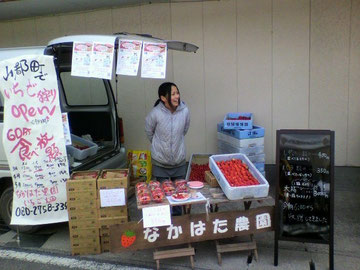 いちごがり イチゴ狩り 中畠農園 なかはた農園