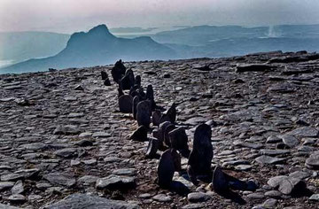 Richard Long