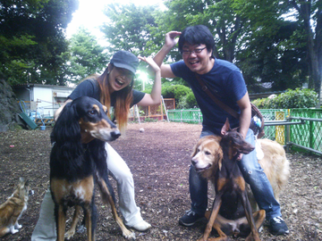 珍しい犬