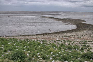 Eider-Sperrwerk