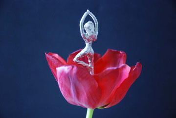 Ballerina tulipano