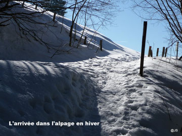 L'arrivée dans l'alpage en hiver