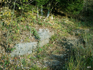 Le chemin dans la clairière du haut