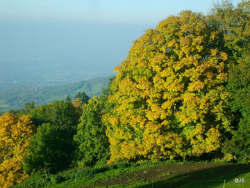Automne à La Thuile