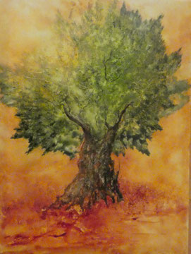 Olivenbaum Nr. 6, Aquarell auf Leinwand, 70x70, Beatrice Ganz, 2018