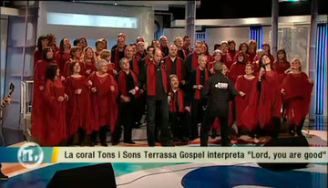 2012. Els Matins de TV3