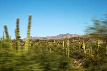 Arizona (USA) - Tucson on the Road - Shot by Alice L.
