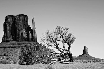 Arizona (USA) - The Monument Valley