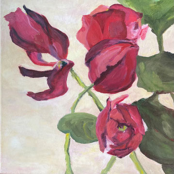 Tulpen - 40x40