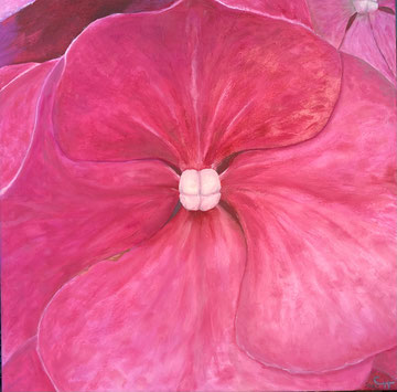 Rote Hortensie lll - 40x40