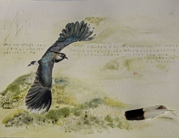 Maagiline Raba - magisches Moor. 31x41 cm. Feder vom Kiebitz.