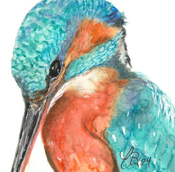 Eisvogel_Fanel. 10x10 cm, Fr. 100 (Wechselrahmen)