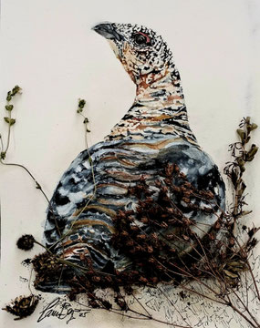 Auerhenne. 42x52 cm, Objektrahmen, mit getrockneter Vegetation