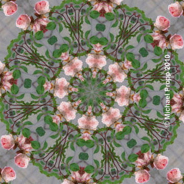 Mandala Rosen
