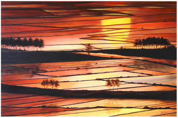 Tramonto sulle risaie  90x60  2004