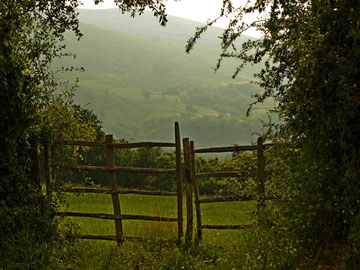 Barrière champêtre- photo proposée par Bruno K.